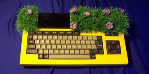 Il Philips MSX VG8020 di Greta Thunberg