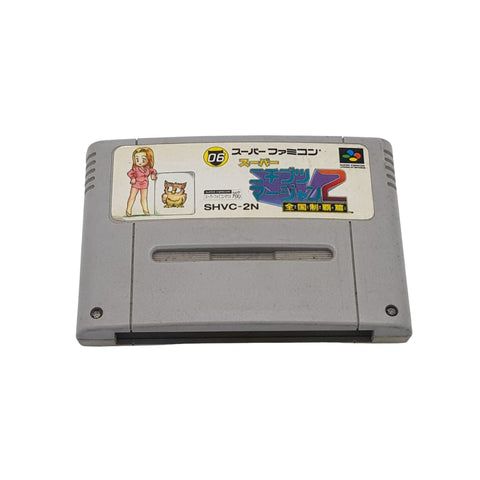 Nintendo Super Famicom SFC - Super Nichibutsu Mahjong 2 - Japan